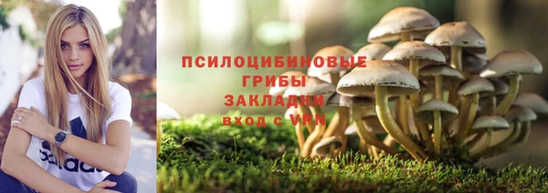 ГАЛЛЮЦИНОГЕННЫЕ ГРИБЫ Касимов