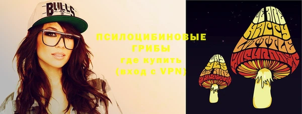 ешки Карпинск