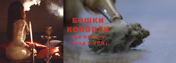 ГАЛЛЮЦИНОГЕННЫЕ ГРИБЫ Касимов