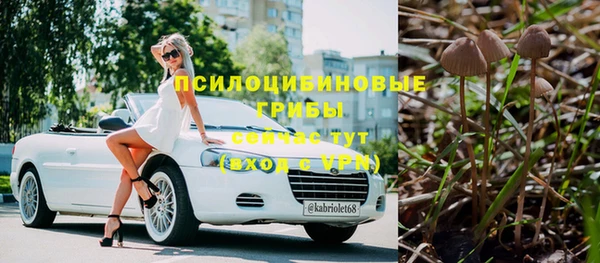 ешки Карпинск
