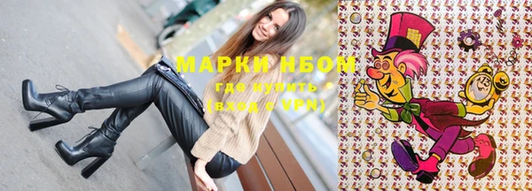 ГАЛЛЮЦИНОГЕННЫЕ ГРИБЫ Касимов