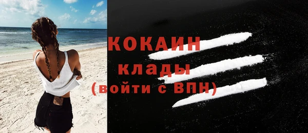 ГАЛЛЮЦИНОГЕННЫЕ ГРИБЫ Касимов