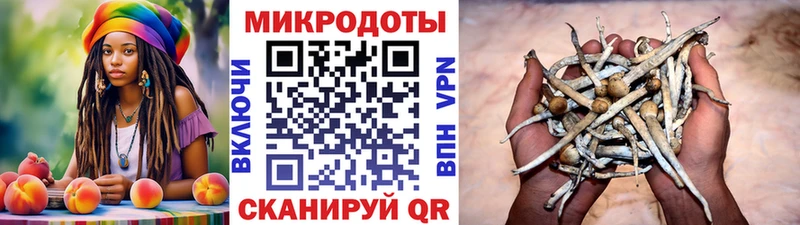 Купить  Чусовой  Псилоцибиновые грибы ЛСД 